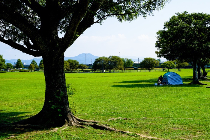 芝生とテント